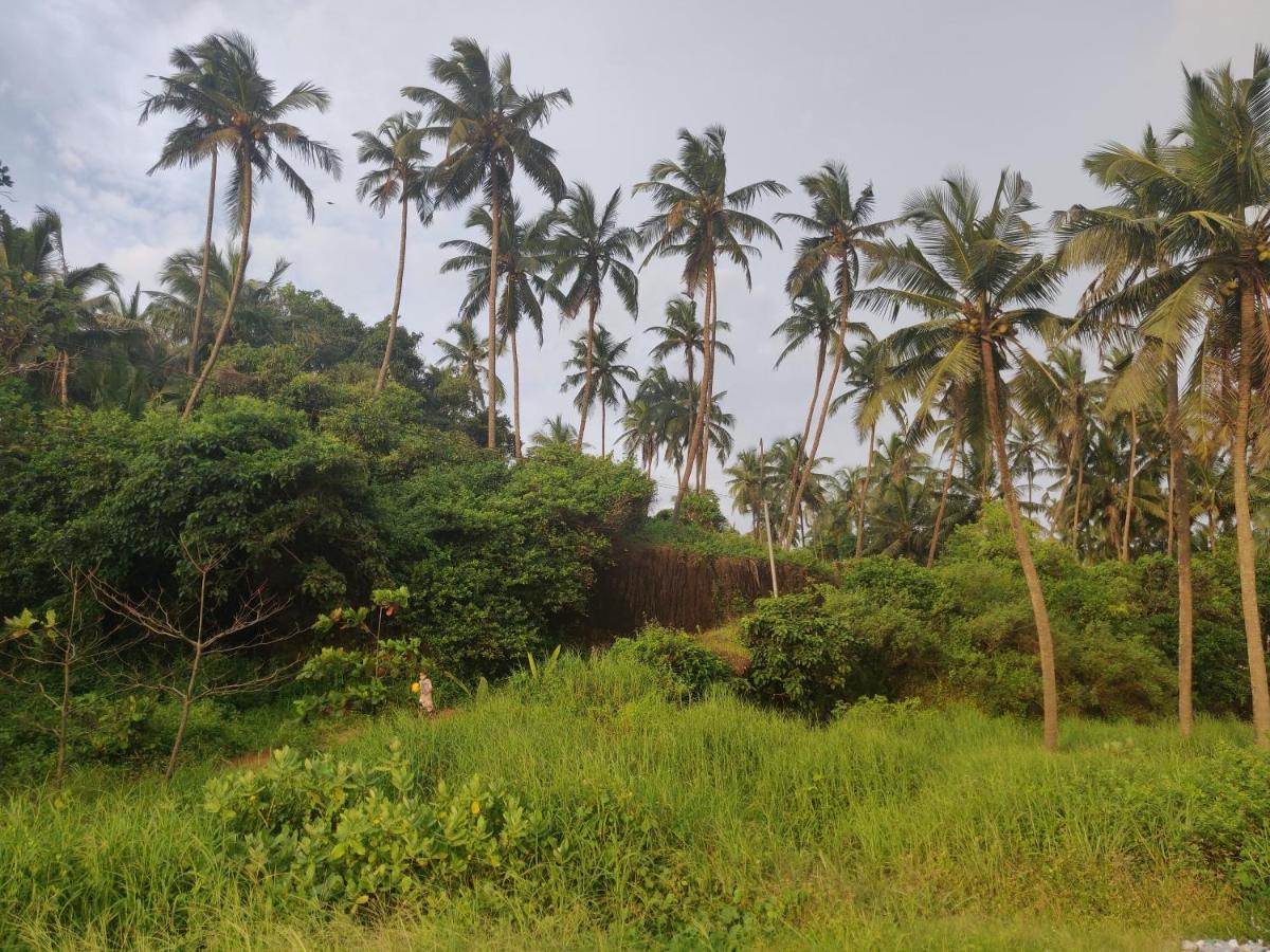 Sunshine Service Villa Kannur Esterno foto
