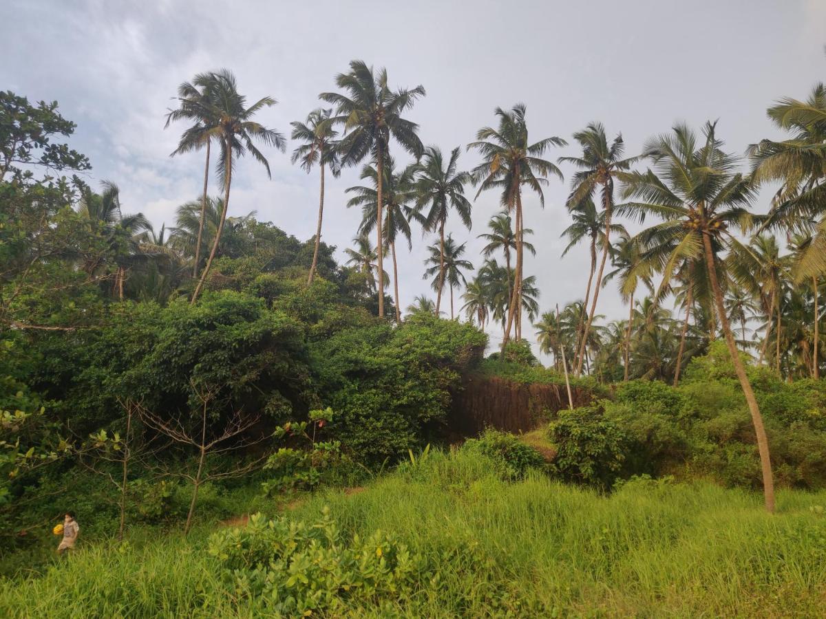 Sunshine Service Villa Kannur Esterno foto